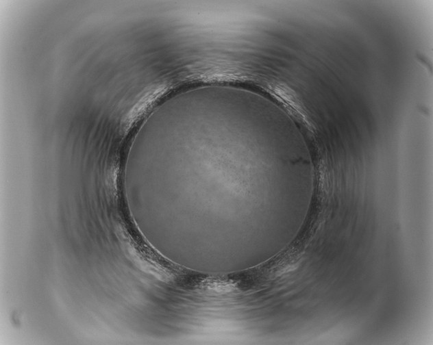 X0000102500491200808151525