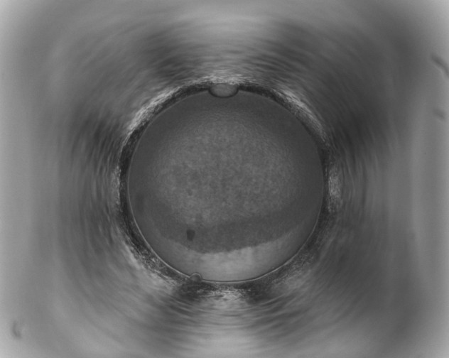 X0000102500492200808151525