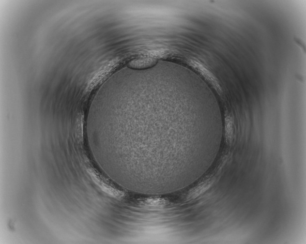 X0000102500493200808151525