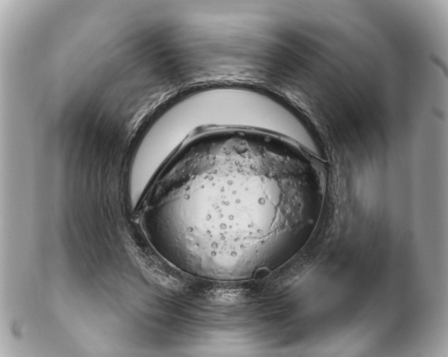 X0000102500495200808151525