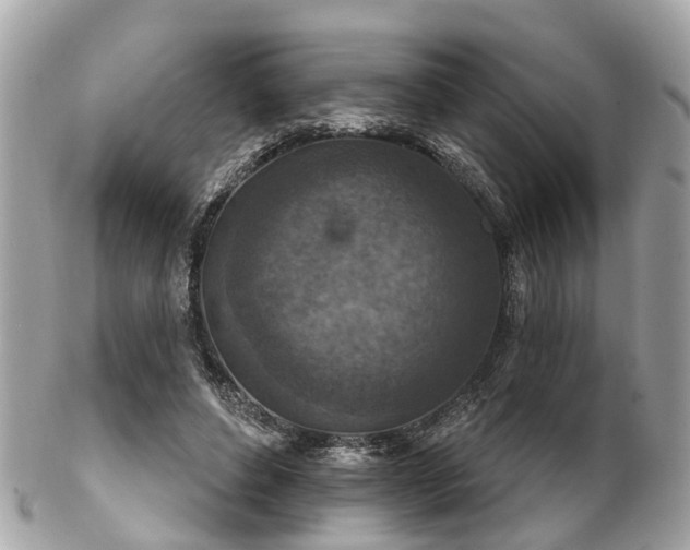 X0000102500496200808151525