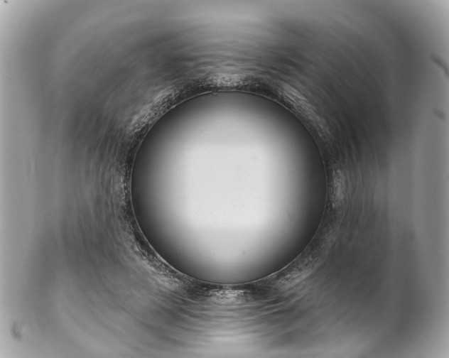 X0000102500497200808151525