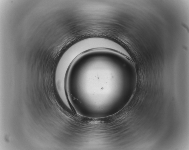 X0000102500499200808151524