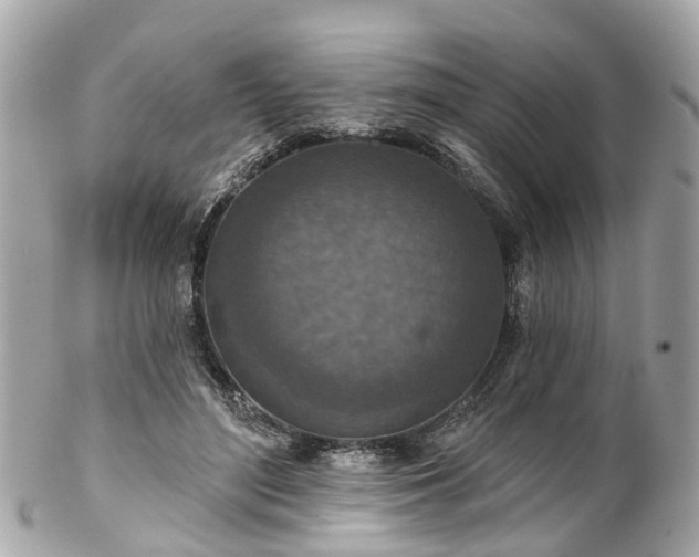 X0000102500500200808151524