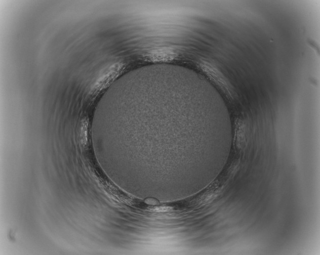 X0000102500501200808151524