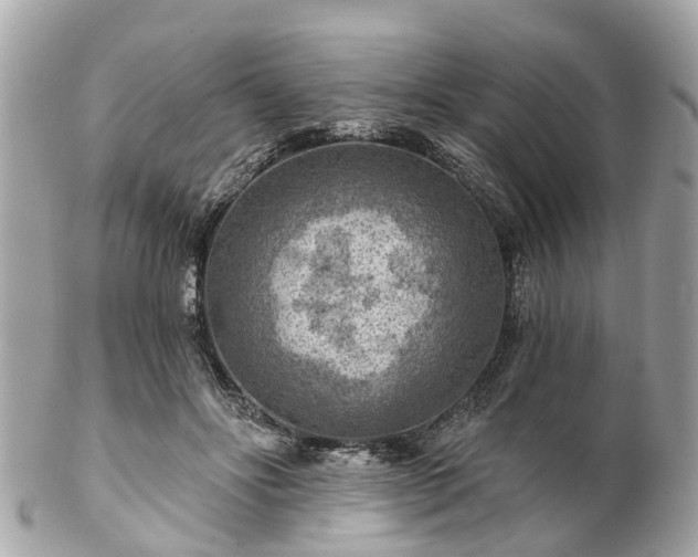 X0000102500502200808151524