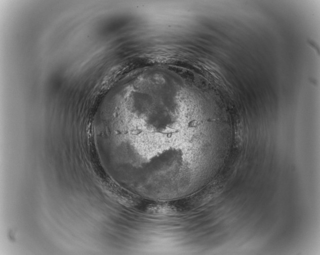 X0000102500503200808151524