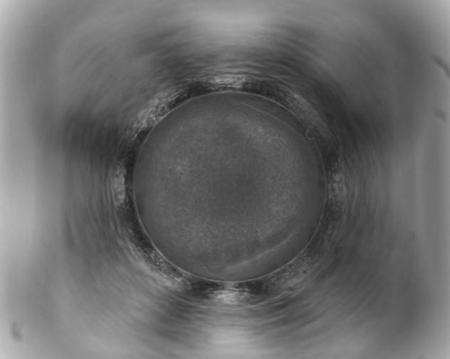 X0000102500504200808151524