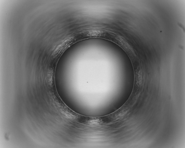 X0000102500505200808151524