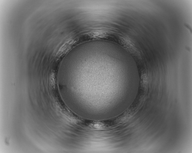 X0000102500506200808151524