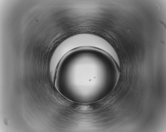 X0000102500507200808151524