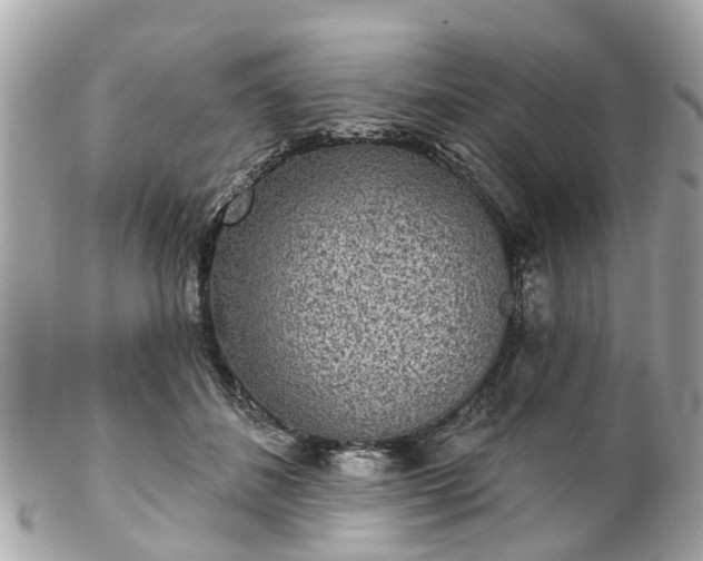 X0000102500508200808151524