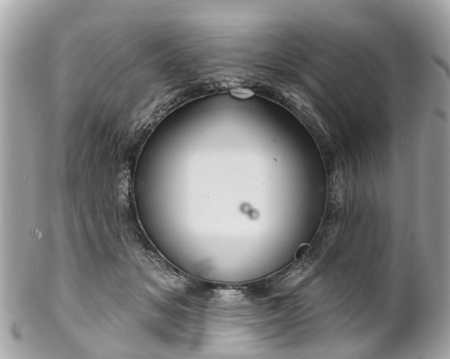 X0000102500509200808151524