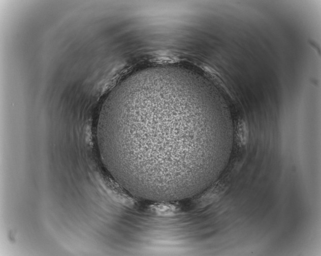 X0000102500512200808151524