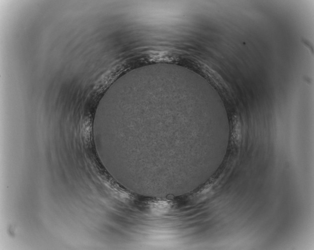 X0000102500513200808151524