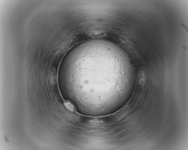 X0000102500515200808151524