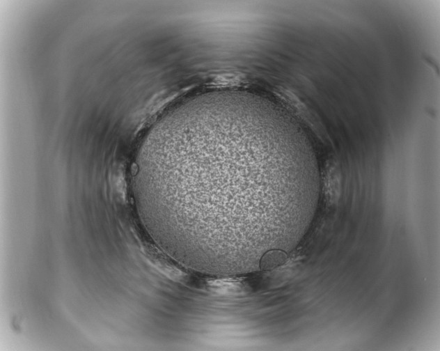 X0000102500516200808151524