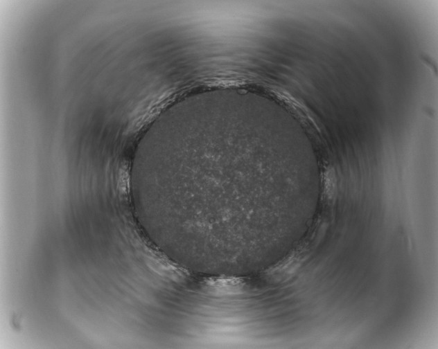 X0000102500517200808151524