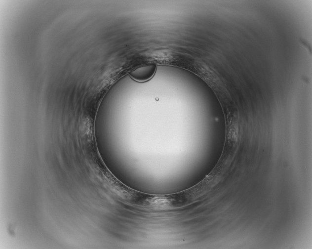 X0000102500518200808151524