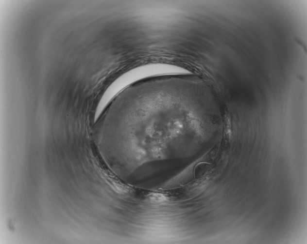 X0000102500519200808151524