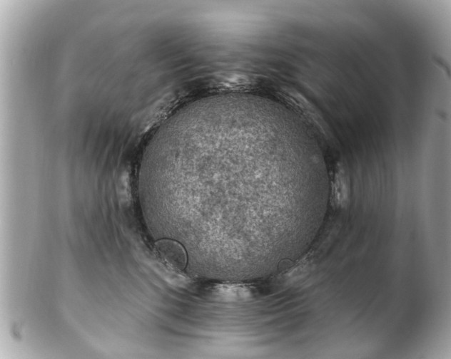 X0000102500520200808151524