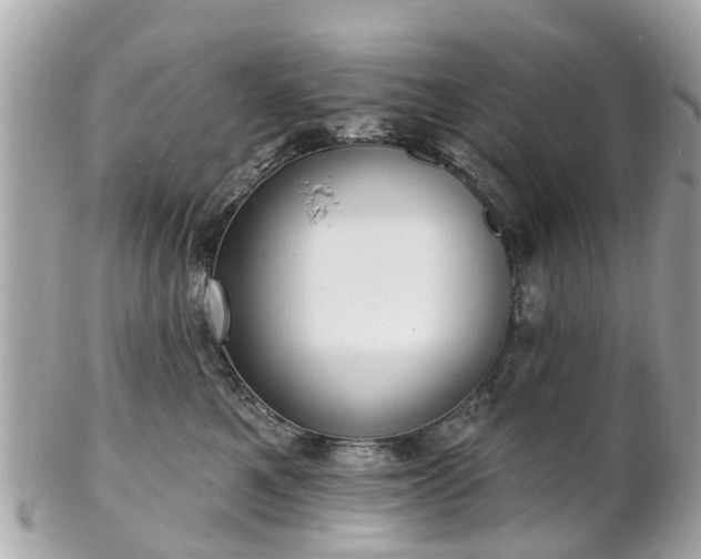 X0000102500521200808151524