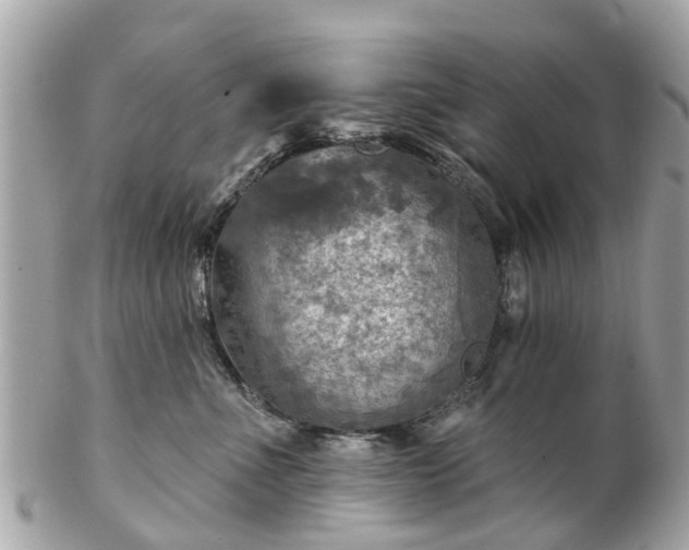 X0000102500523200808151524