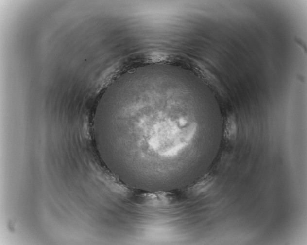 X0000102500524200808151524