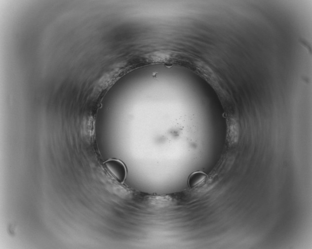 X0000102500525200808151524