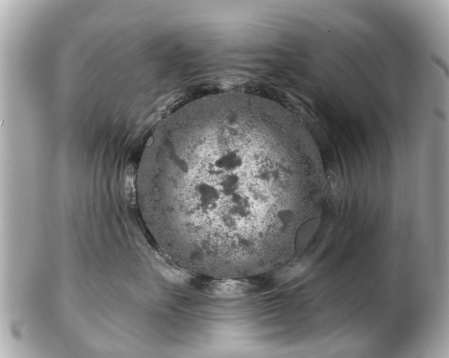 X0000102500527200808151524