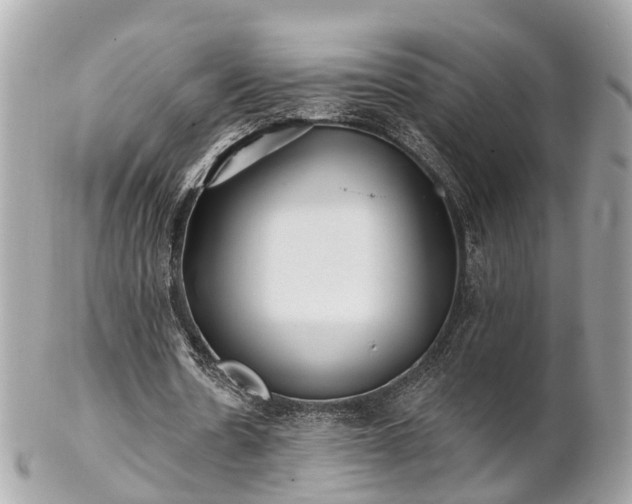 X0000102500530200808151523