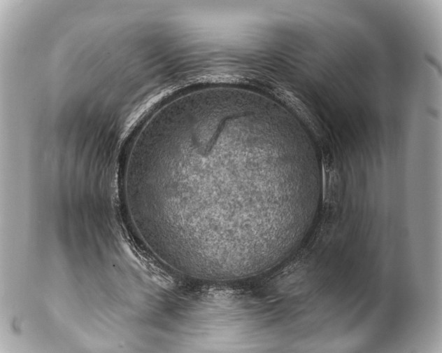 X0000102500531200808151523