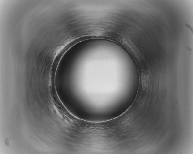 X0000102500532200808151523