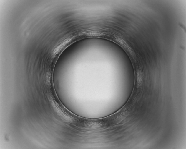 X0000102500533200808151523