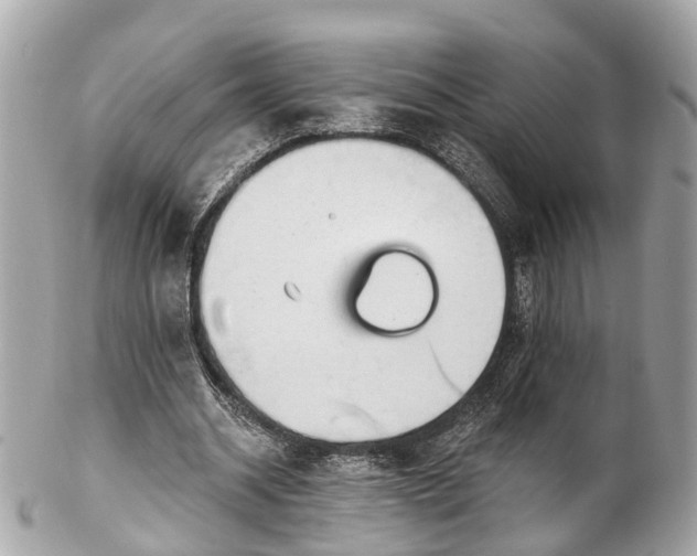 X0000102500534200808151523