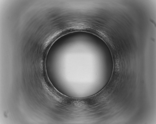 X0000102500535200808151523