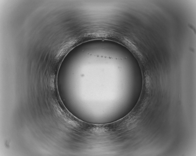 X0000102500537200808151523