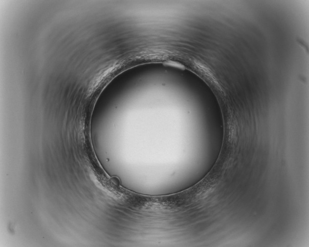 X0000102500538200808151523