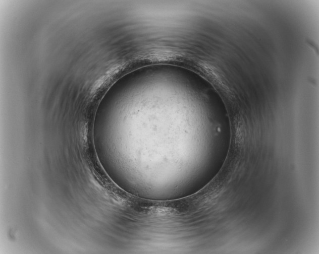 X0000102500539200808151523