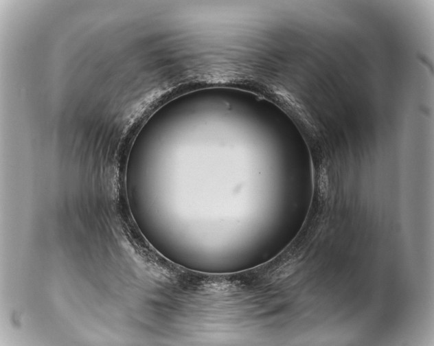 X0000102500540200808151523