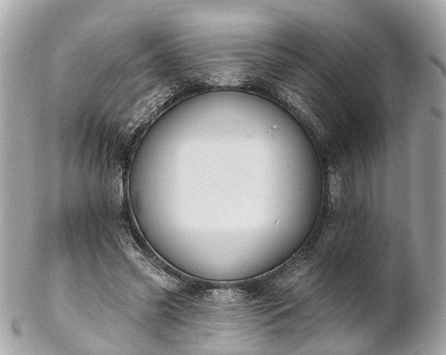 X0000102500541200808151523