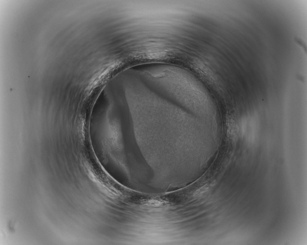 X0000102500542200808151523