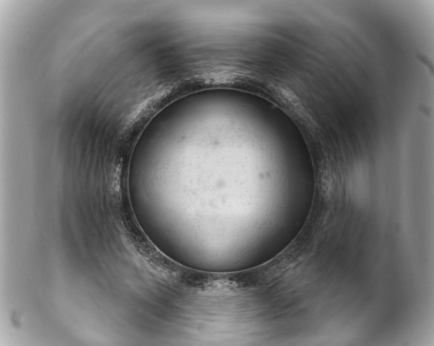 X0000102500543200808151523