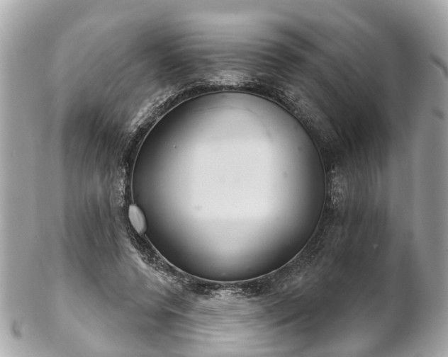 X0000102500544200808151523