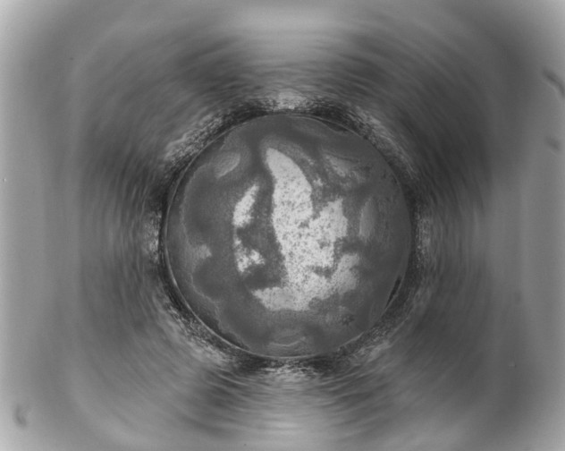 X0000102500545200808151523