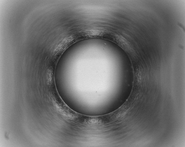 X0000102500546200808151523