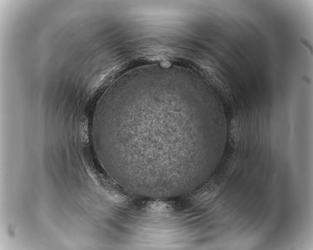 X0000102500547200808151523