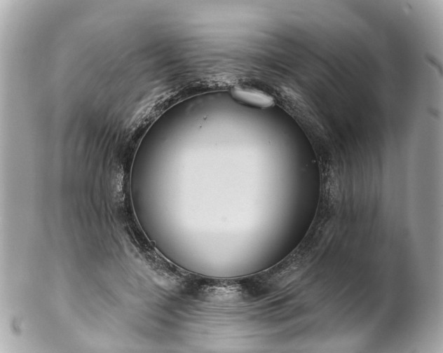 X0000102500548200808151523