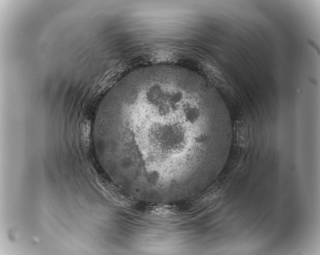 X0000102500550200808151523