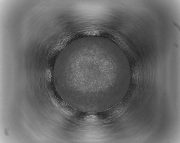 X0000102500551200808151523